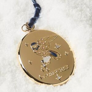 Anthropologie x Lou Benesch Aquarius Stargazer Zodiac Ornament
